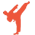Taekwondo